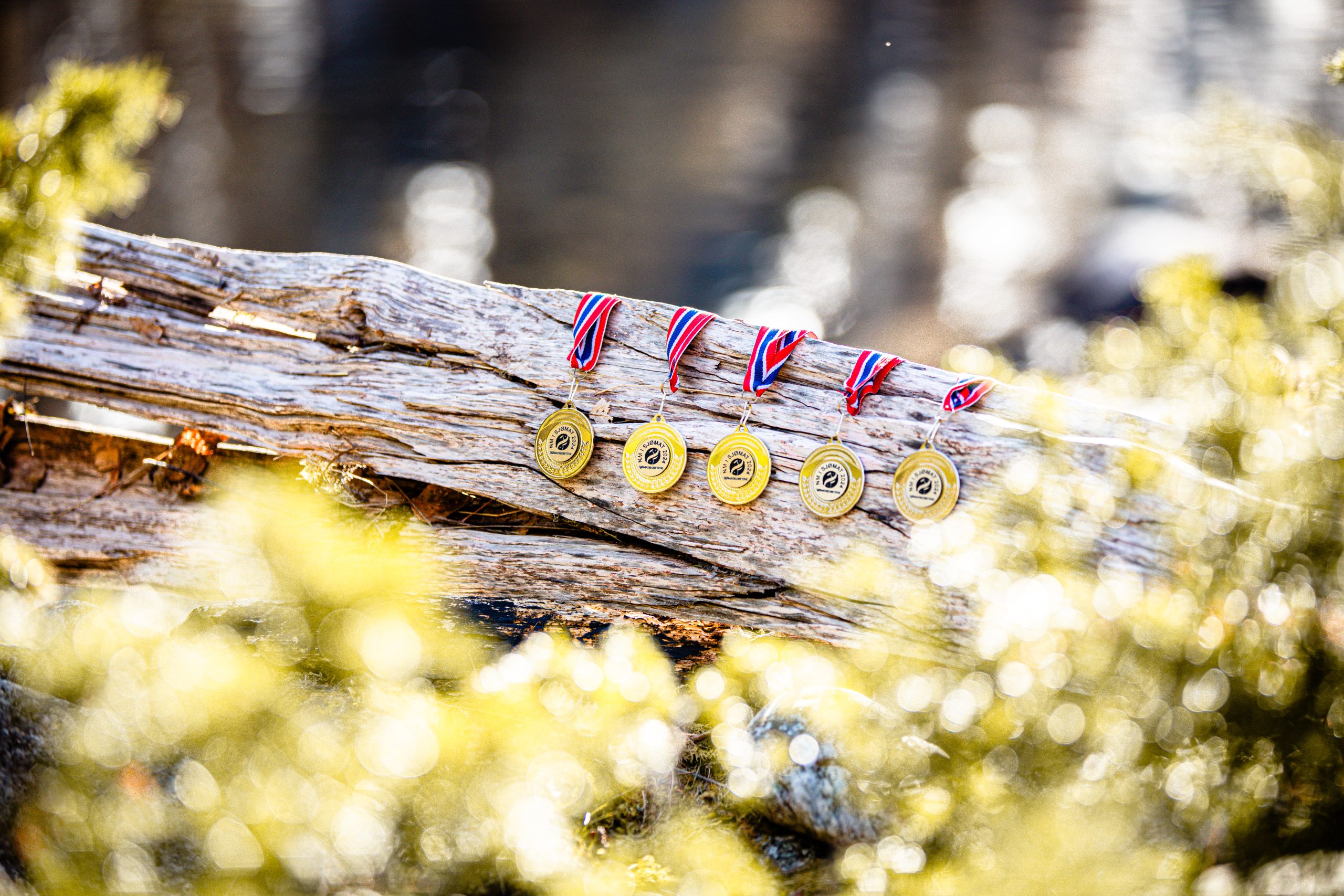 Mit Wachholder geräucherte Seeforelle, in Scheiben – Bild 4